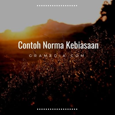 Norma kebiasaan