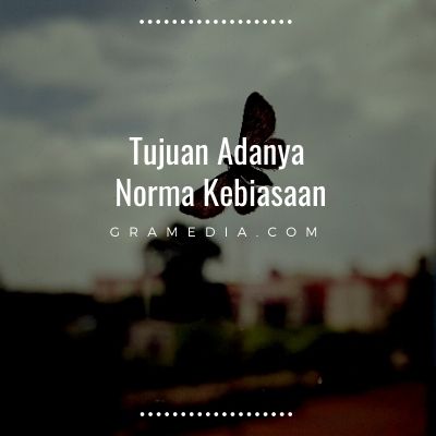 Norma kebiasaan