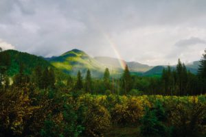 Penemu Teori Munculnya Pelangi