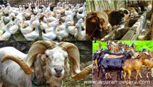 Contoh-contoh SDA yang Dapat Diperbaharui 6 Contoh-contoh SDA yang Dapat Diperbaharui 3