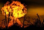 penyebab dan dampak kebakaran hutan