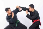 pukulan dalam pencak silat