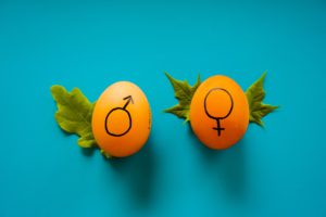 Gender adalah