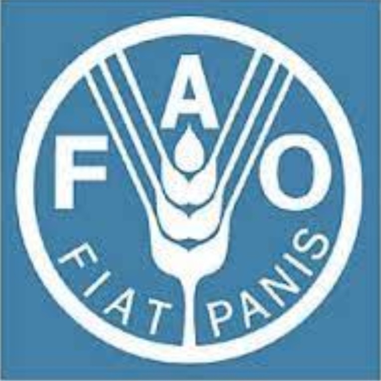 Badan Pangan Dunia: Pengertian, Departemen, dan Tujuan – Gramedia Literasi