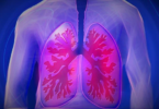Alveolus adalah